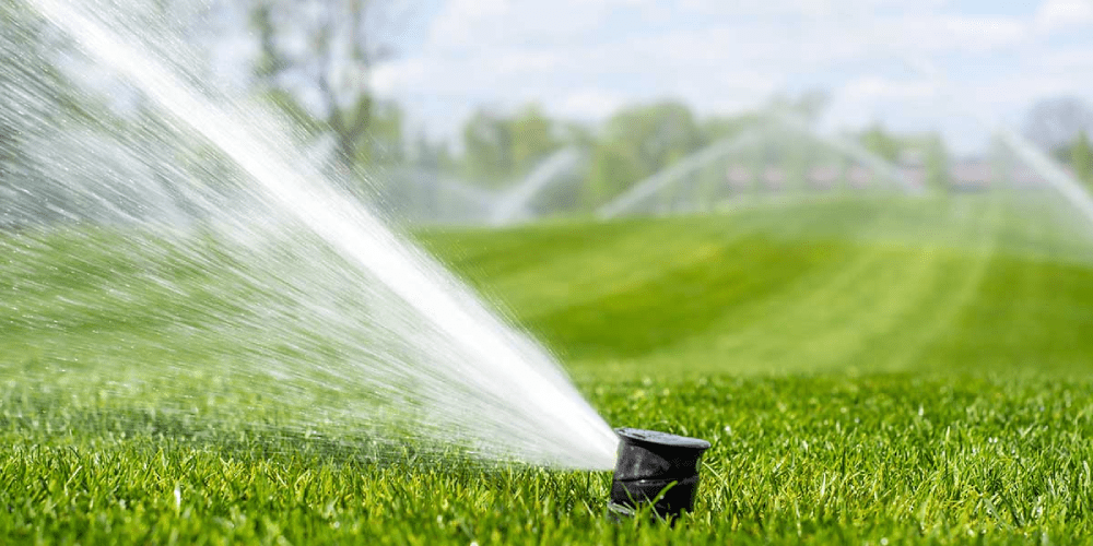 Mẹo tưới nước cho sân golf