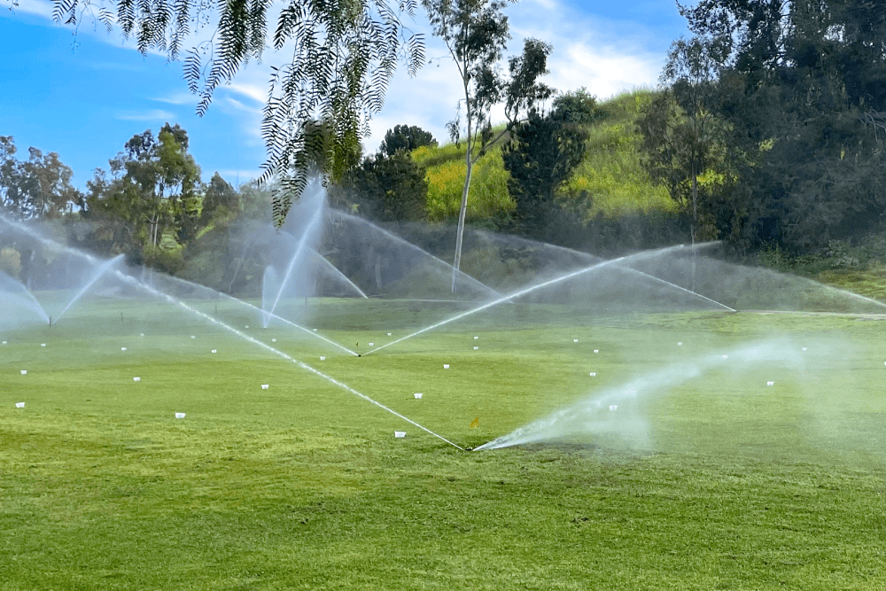 Mẹo tưới nước cho sân golf