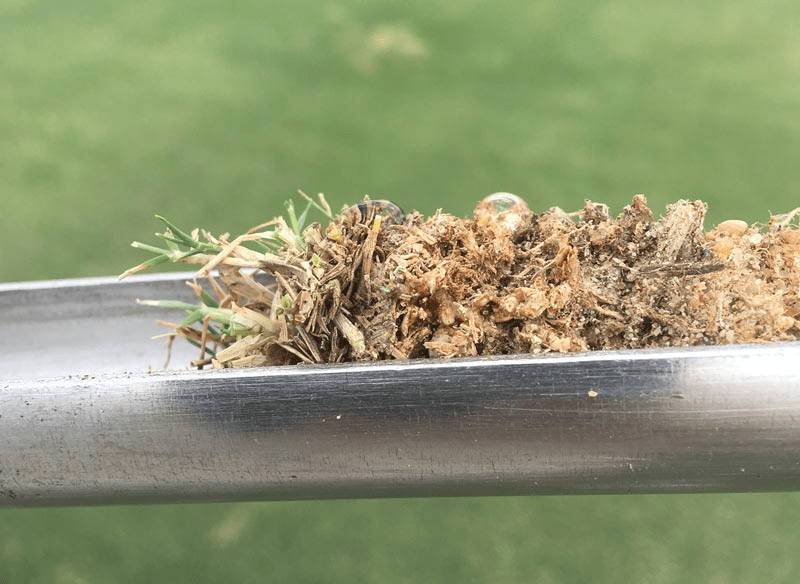 phủ cát cho Fairways sân golf