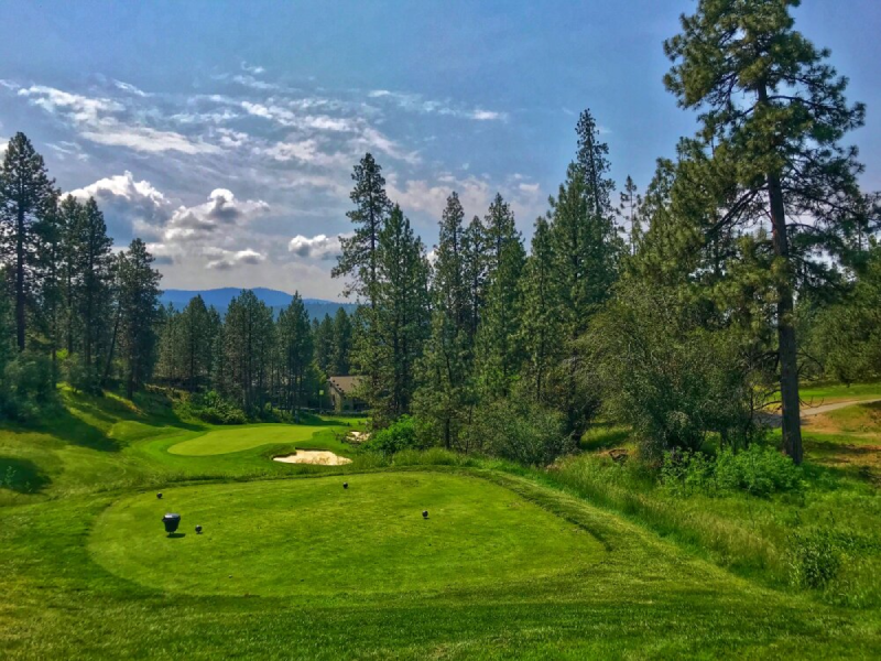 Sân golf của bạn đã sẵn sàng cho mùa hè