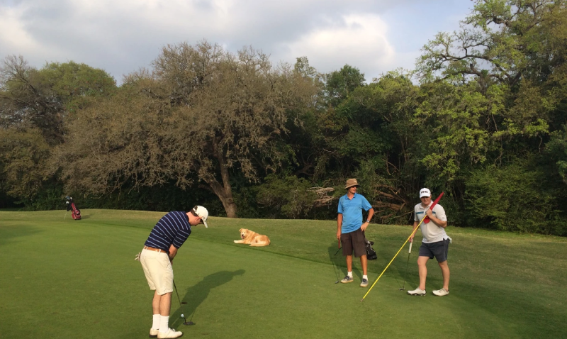 Sân golf của bạn đã sẵn sàng cho mùa hè