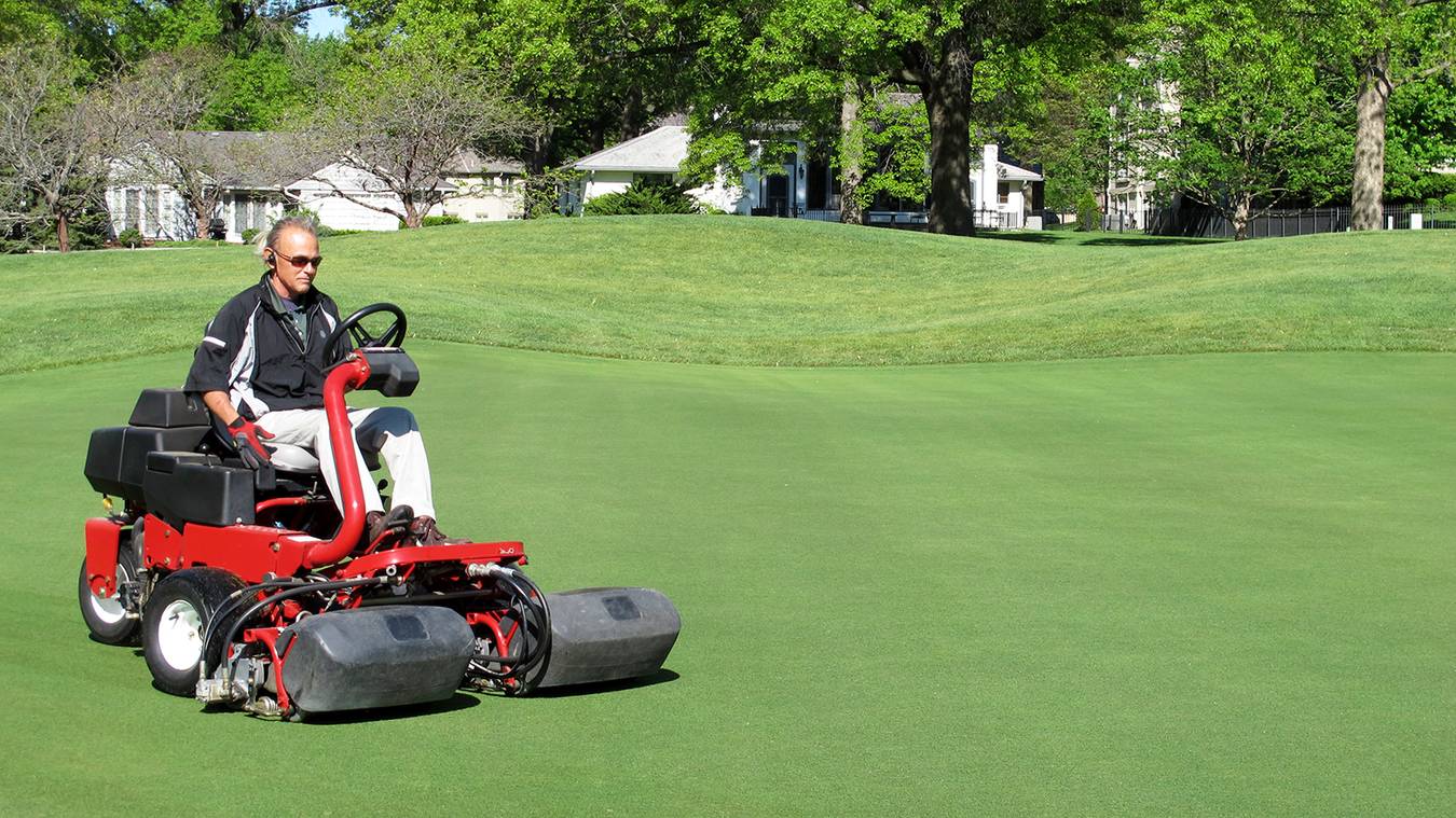 vai trò của tần suất cắt cỏ