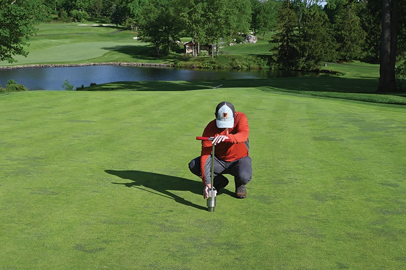 tiêu chuẩn và thực hành bảo dưỡng sân golf theo thời gian