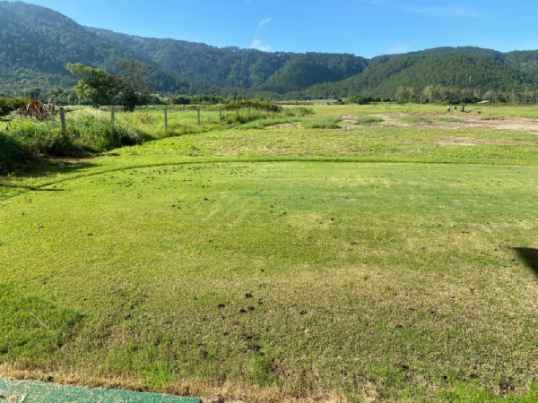 Tiêu Diệt Sâu Bệnh Trên Sân Golf