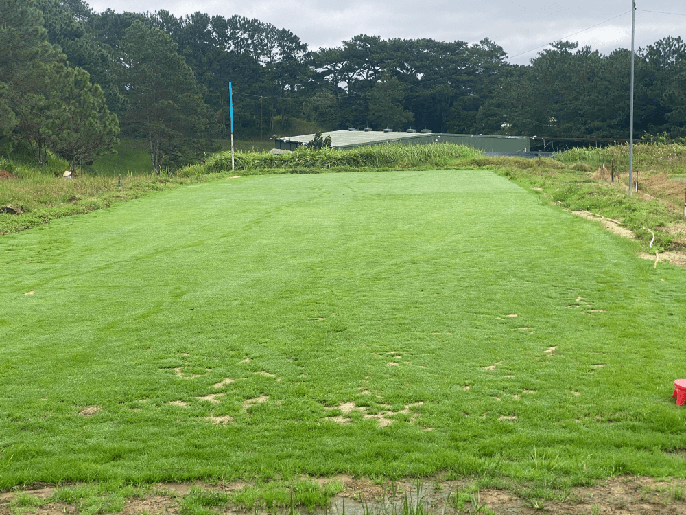 quy trình tưới nước sân golf