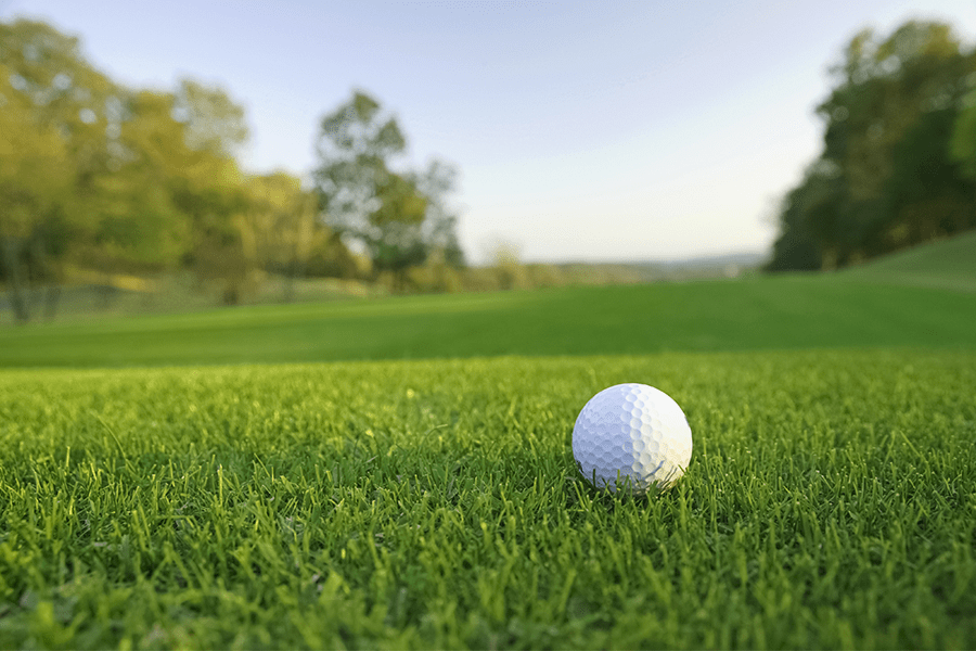 Vai trò của nông học trong việc bảo trì sân golf