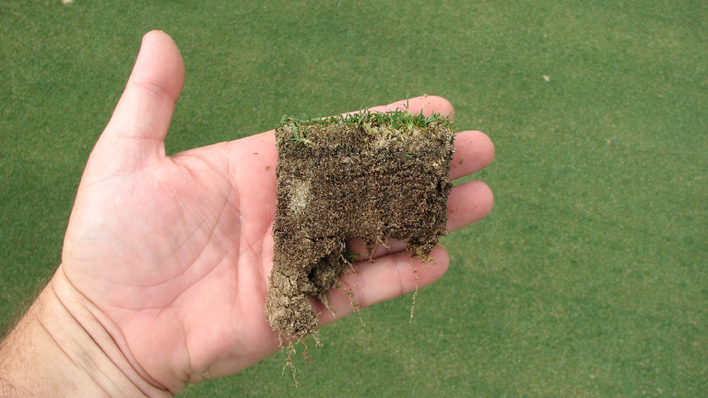 Vai trò của sức khỏe đất trong việc chăm sóc cỏ sân golf