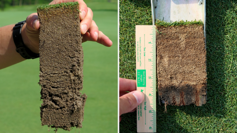 Vai trò của sức khỏe đất trong việc chăm sóc cỏ sân golf