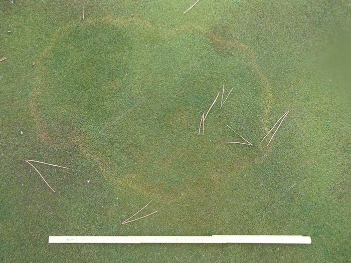 Vòng màu xanh lá cây Bent