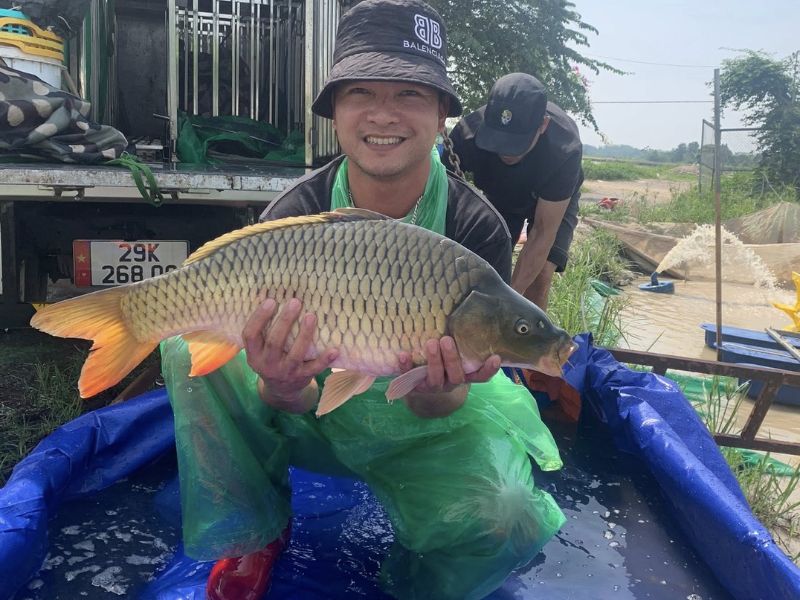 Câu cá chép tại hồ dịch vụ