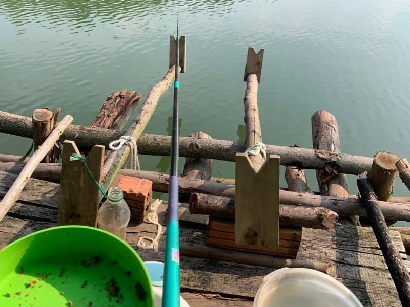 Các hãng cần câu đài nổi tiếng cho người mới