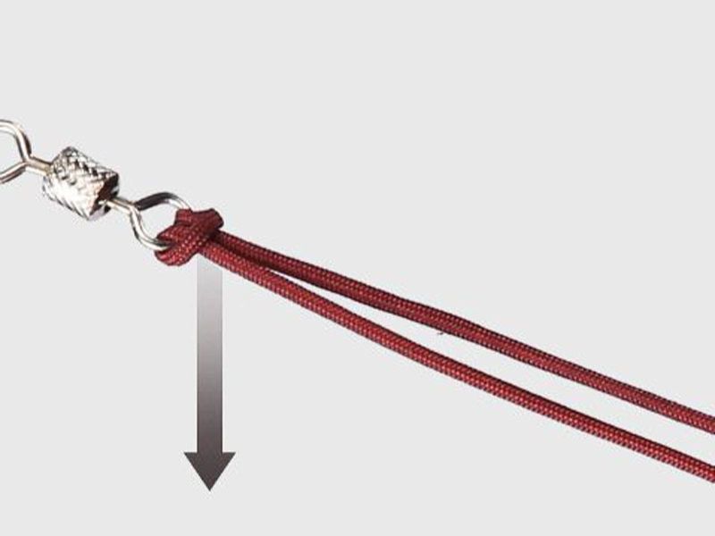 Cách buộc cước câu cá và thẻo câu không lo bị đứt