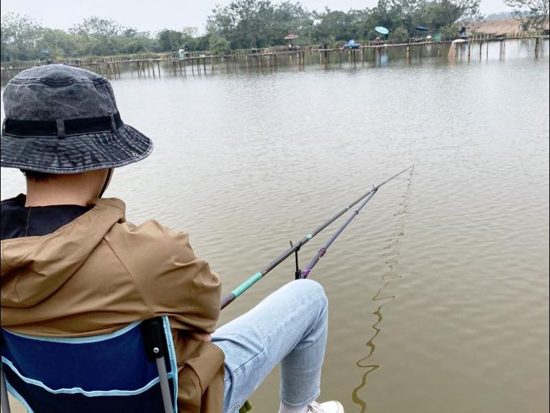 Cần câu cá là gì?