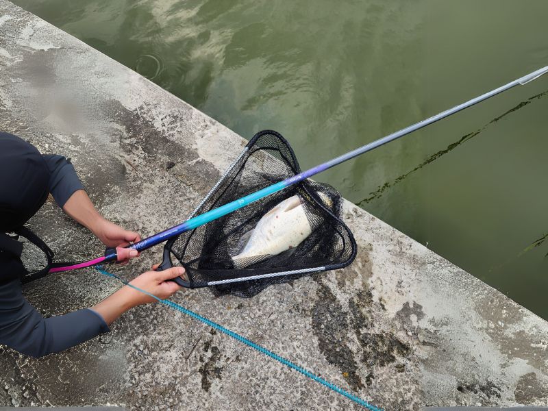 Sử dụng cần câu đài đúng mục đích với đúng loại cá phù hợp