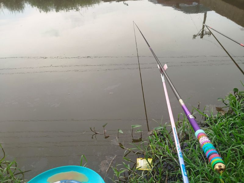 Cần câu đài trong bộ các sản phẩm đồ câu đài