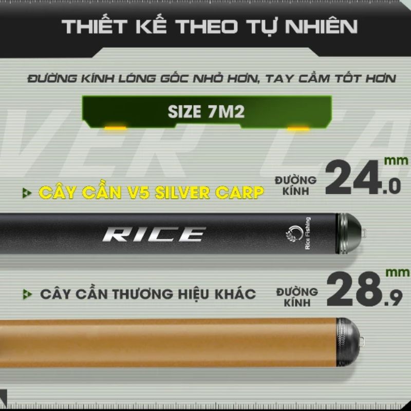 Kích thước cần V5 Silver Carp thiết kế theo tự nhiên tối ưu