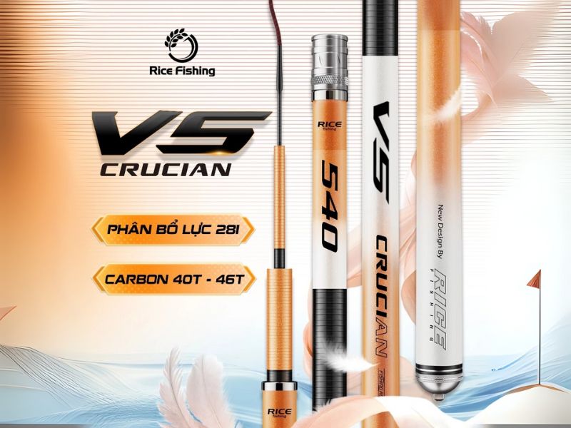 Cần câu đài phân loại theo loại cá