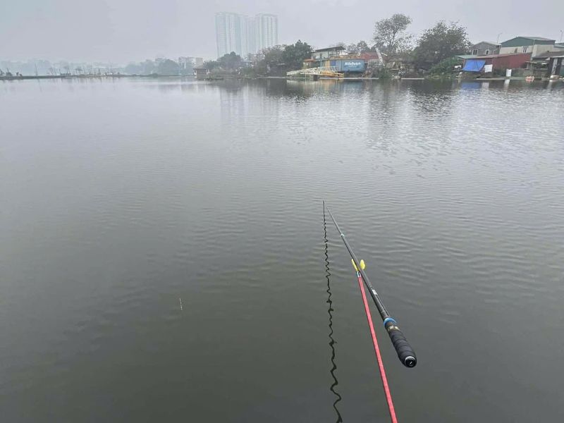 Cần mở đại lý bán đồ câu nhờ nhu cầu thị trường tăng mạnh