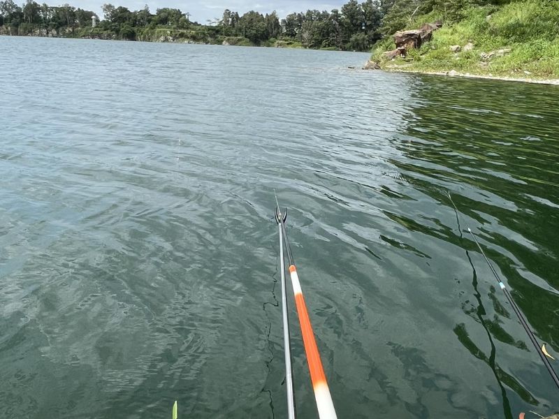 Cần mở đại lý bán đồ câu với cộng đồng người dùng trung thành