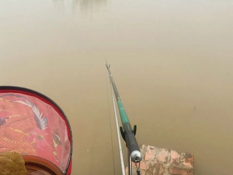 Câu cá giải trí là gì?