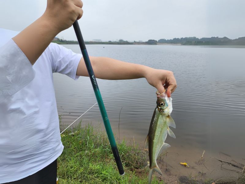 Chọn cần câu đài dựa theo loại cá và môi trường câu