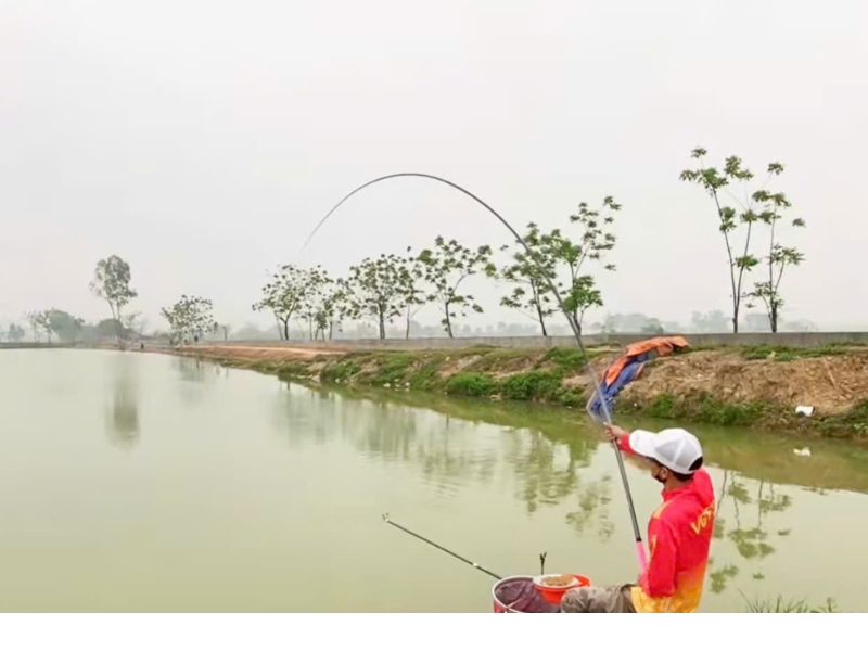 Đánh giá các hãng cần câu nổi tiếng dựa vào chất lượng sản phẩm