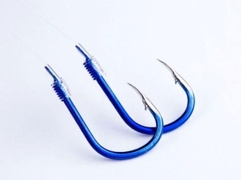 Lưỡi câu chính là một trong những đồ câu bắt buộc phải có