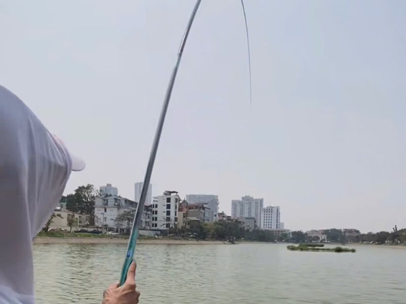 Các hãng cần câu nổi tiếng có giá cả hợp lý