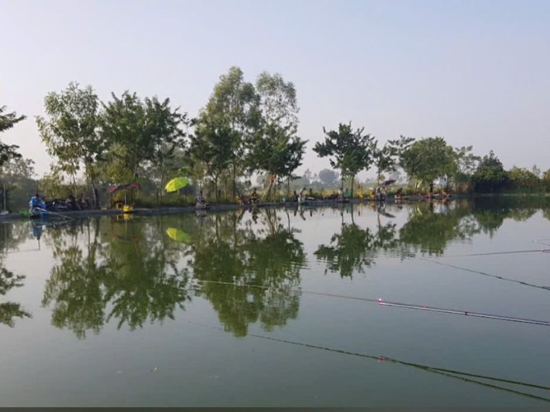 Hồ câu đài dịch vụ Minh Vũ