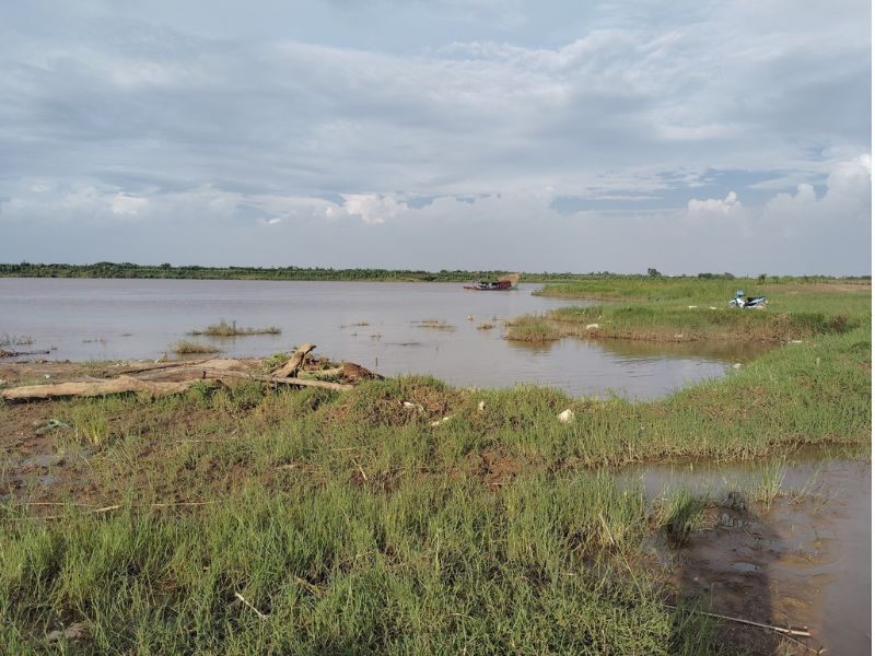 Bãi câu sông Hồng với không gian thoáng đãng