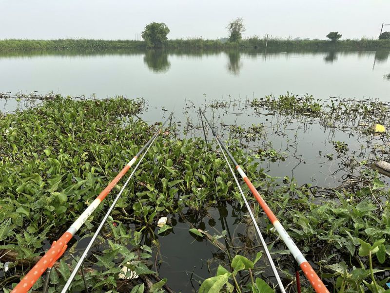 Hồ câu cá tự nhiên với điều kiện nước ảnh hưởng đến hiệu quả câu