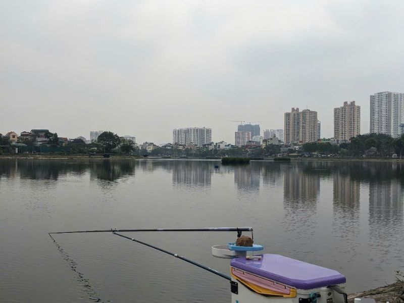 Hồ câu tự nhiên Định Công ngay tại trung tâm Hà Nội