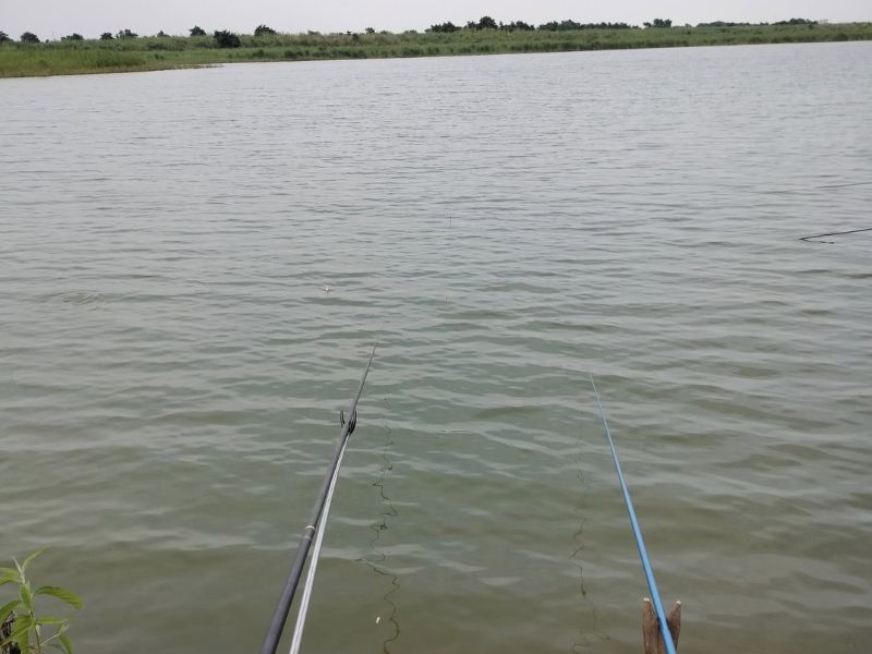 Hiểu rõ hồ câu tự nhiên là hồ như thế nào