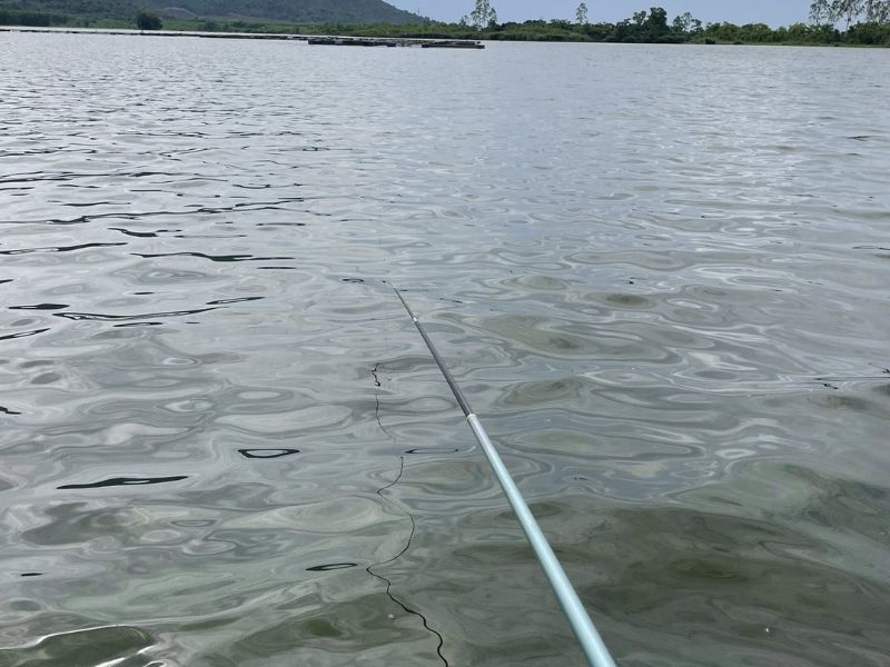 Hồ câu tự nhiên với những ưu nhược điểm riêng