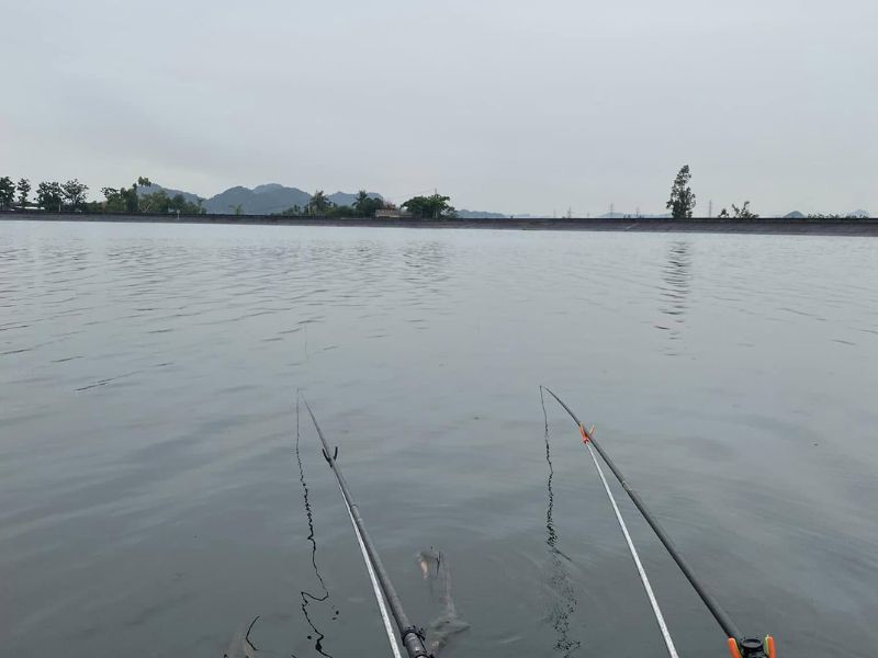 Hồ câu cá tự nhiên với không gian yên tĩnh