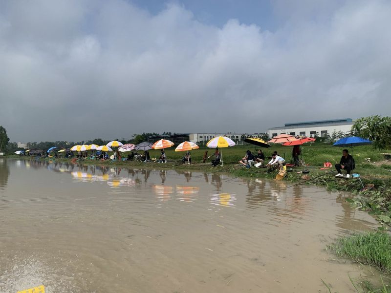 Hồ câu dịch vụ có nhiều loại cá phong phú