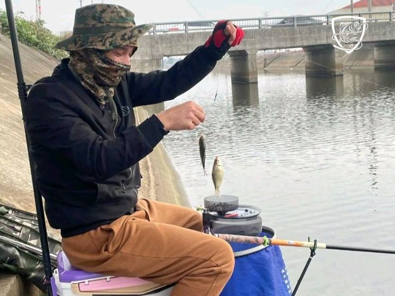 Lấy sỉ đồ câu cá vì nhu cầu của thị trường ngày một tăng cao