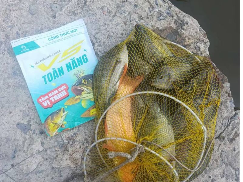 Hiểu rõ được mồi câu cá là gì?