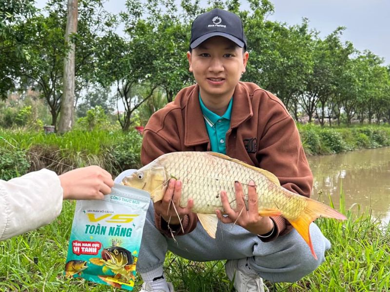 Mồi câu toàn năng Rice Fishing câu cá chép hiệu quả