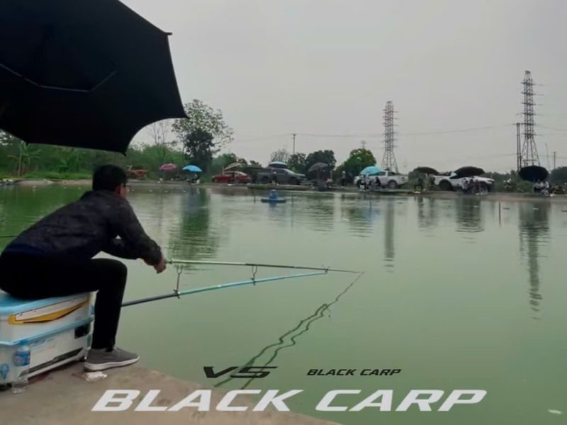 Sản phẩm được nghiên cứu kỹ lưỡng trước khi đưa ra thị trường sỉ đồ câu