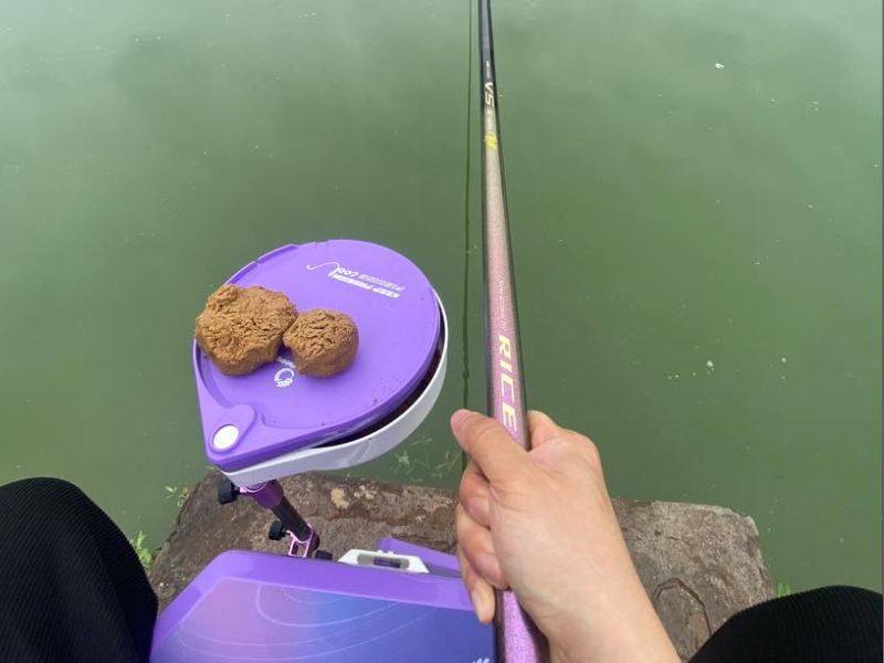 Nhập sỉ đồ câu Rice Fishing cần câu đài