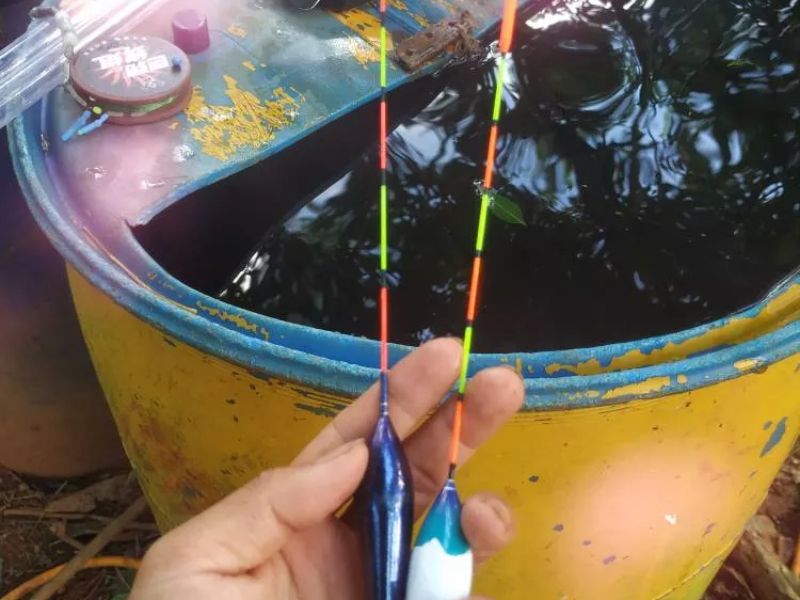 Phao câu đài tăm to phù hợp với những loại cá lớn