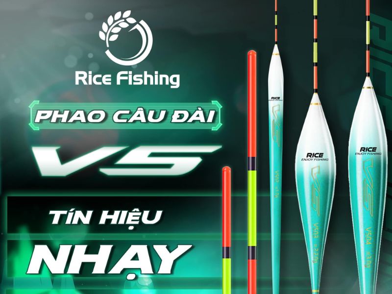 Lựa chọn phao câu đài phù hợp