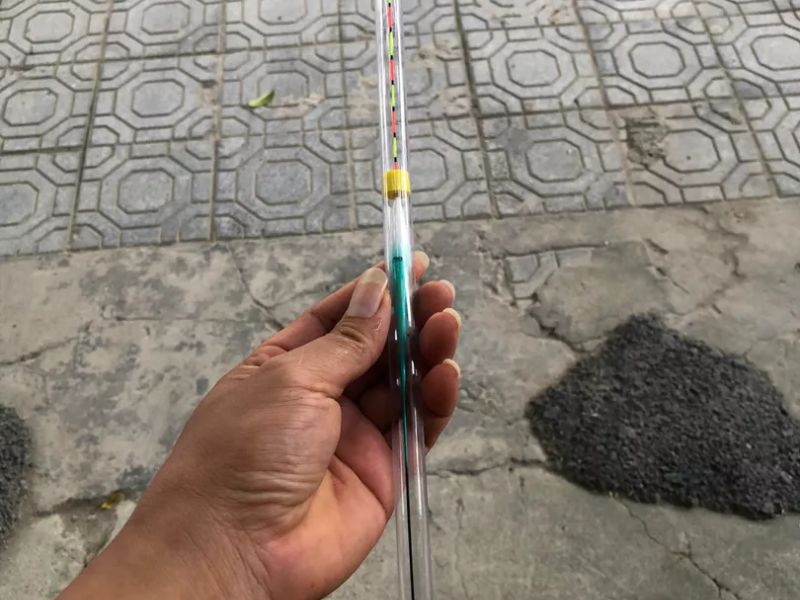 Phao câu đài phù hợp câu cá chép