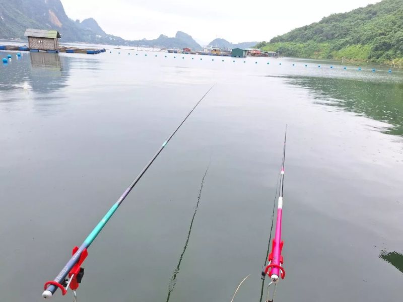 Rice Fishing V5 dành cho người mới bắt đầu tập câu