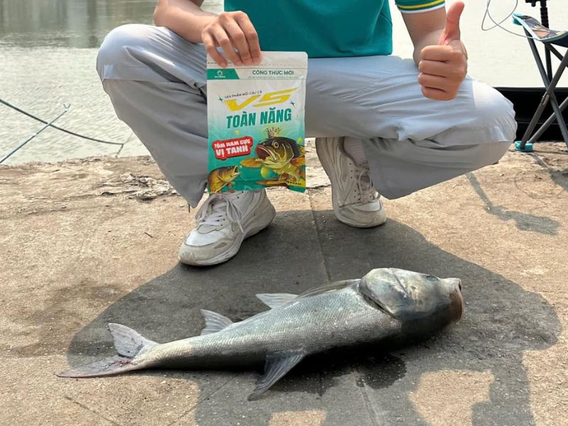 Sỉ đồ câu sản phẩm mồi câu