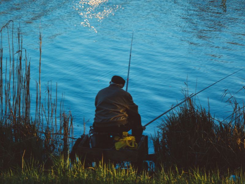 Sỉ đồ câu cá do nhu cầu tăng cao