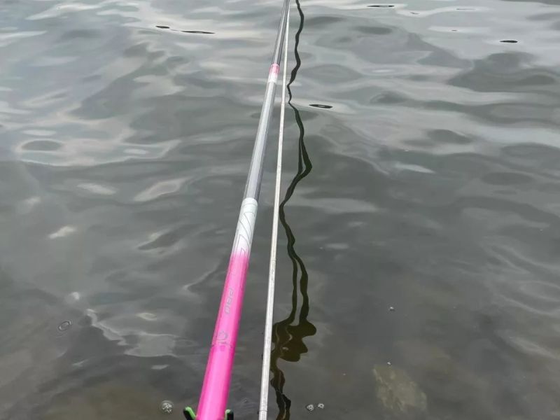 Sử dụng cần câu đài đúng mục đích