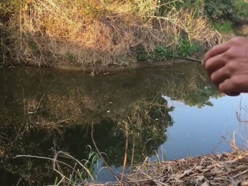 Thời điểm câu quyết định trực tiếp đến hiệu quả khi câu