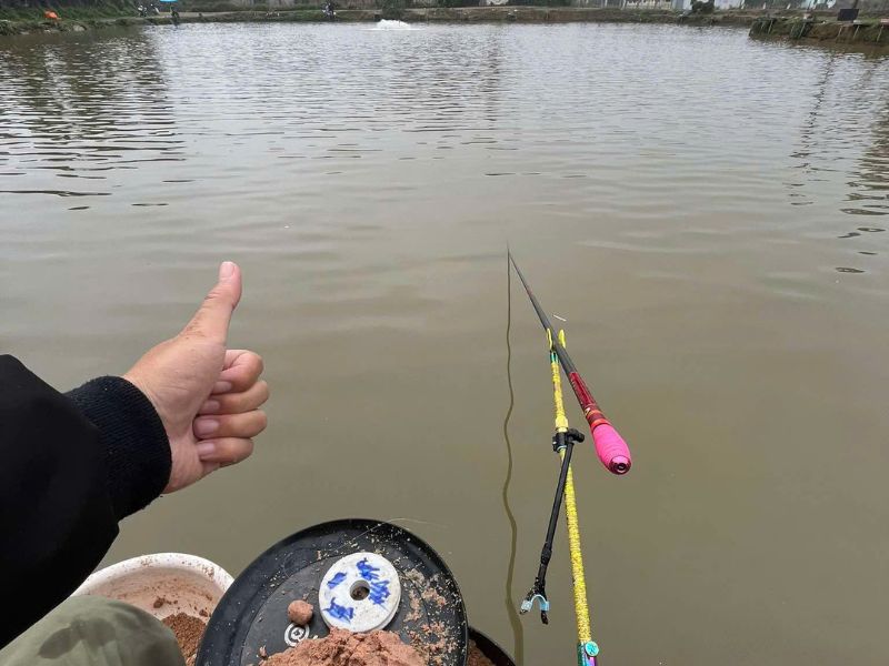 Thiết kế của hồ câu đài rất đa dạng